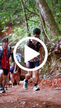 BIB:  <button type="button" onclick="openModal(27379642)" class="btn btn-primary btn-sm float-right" data-toggle="modal" data-target=".modal-high-quality">
                <i class="fa fa-download"></i> Download
                </button>